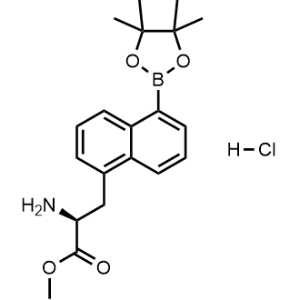 Methyl (S)-2-amino-3-(5-(4,4,5,5-tetramethyl-1,3,2-dioxaborolan-2-yl)naphthalen-1-yl)propanoate hydrochloride|CS-0926355