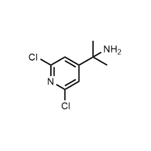 2-(2,6-Dichloropyridin-4-yl)propan-2-amine|CS-0926563