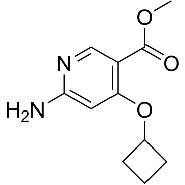 Methyl 6-amino-4-cyclobutoxynicotinate|CS-0928624