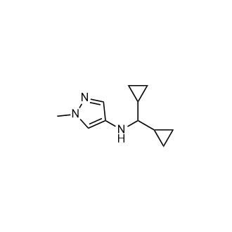 N-(Dicyclopropylmethyl)-1-methyl-1H-pyrazol-4-amine|CS-0933522