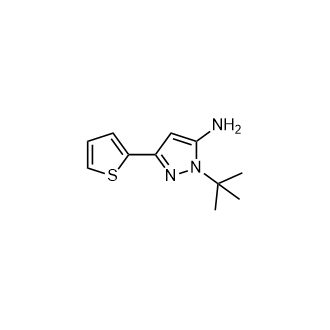 1-(Tert-butyl)-3-(thiophen-2-yl)-1H-pyrazol-5-amine|CS-0933602