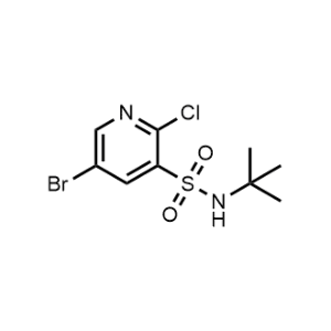 5-Bromo-N-(tert-butyl)-2-chloropyridine-3-sulfonamide|CS-0938958