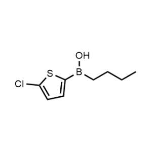 Butyl(5-chlorothiophen-2-yl)(hydroxy)borane|CS-0941148