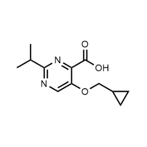 5-(Cyclopropylmethoxy)-2-isopropylpyrimidine-4-carboxylic acid|CS-0942019