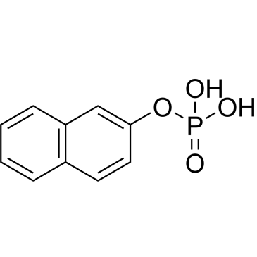 Naphthalen-2-yl dihydrogen phosphate|CS-0942308