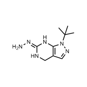 1-(Tert-butyl)-6-hydrazono-4,5,6,7-tetrahydro-1H-pyrazolo[3,4-d]pyrimidine|CS-0942415