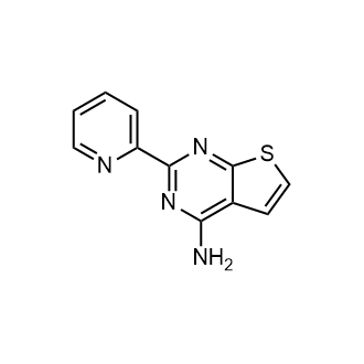 2-(Pyridin-2-yl)thieno[2,3-d]pyrimidin-4-amine|CS-0943072