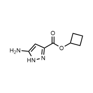 Cyclobutyl 5-amino-1H-pyrazole-3-carboxylate|CS-0943783