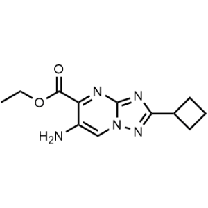 Ethyl 6-amino-2-cyclobutyl-[1,2,4]triazolo[1,5-a]pyrimidine-5-carboxylate|CS-0947516