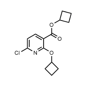 Cyclobutyl 6-chloro-2-cyclobutoxynicotinate|CS-0948496