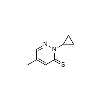2-Cyclopropyl-5-methylpyridazine-3(2H)-thione|CS-0955903