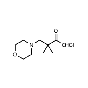 2,2-Dimethyl-3-morpholinopropanoic acid hydrochloride|CS-0955961