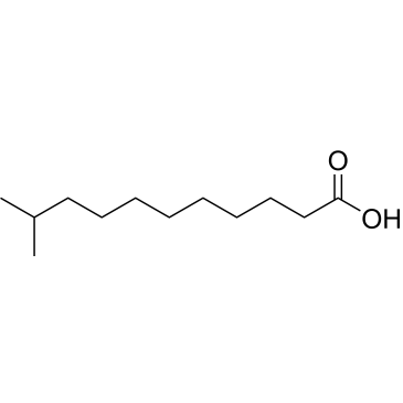 10-Methylundecanoic acid|CS-0961855