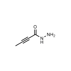 But-2-ynehydrazide|CS-0965634