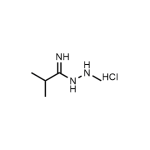 N-Methylisobutyrimidohydrazide hydrochloride|CS-0967696