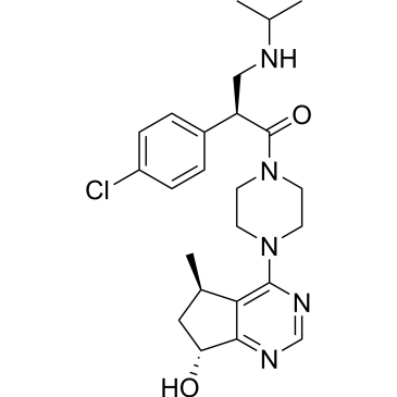 CS-0975