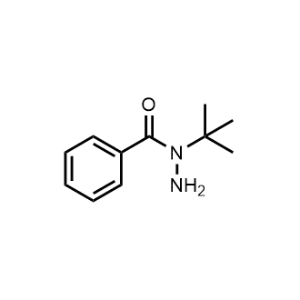 N-(Tert-butyl)benzohydrazide|CS-0975931