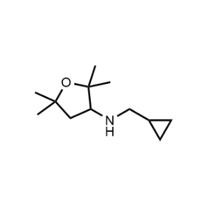 N-(Cyclopropylmethyl)-2,2,5,5-tetramethyltetrahydrofuran-3-amine|CS-0975975