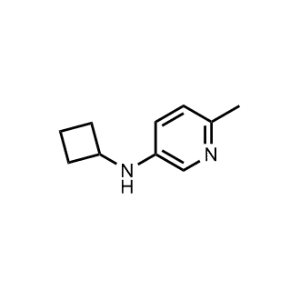 N-Cyclobutyl-6-methylpyridin-3-amine|CS-0976914
