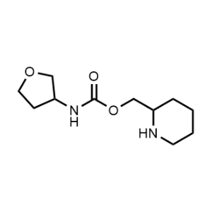 Piperidin-2-ylmethyl (tetrahydrofuran-3-yl)carbamate|CS-0976957