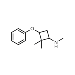 N,2,2-Trimethyl-3-phenoxycyclobutan-1-amine|CS-0977431