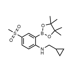 N-(Cyclopropylmethyl)-4-(methylsulfonyl)-2-(4,4,5,5-tetramethyl-1,3,2-dioxaborolan-2-yl)aniline|CS-0977476
