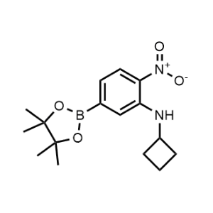 N-Cyclobutyl-2-nitro-5-(4,4,5,5-tetramethyl-1,3,2-dioxaborolan-2-yl)aniline|CS-0996343