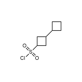 [1,1'-Bi(cyclobutane)]-3-sulfonyl chloride|CS-0997609