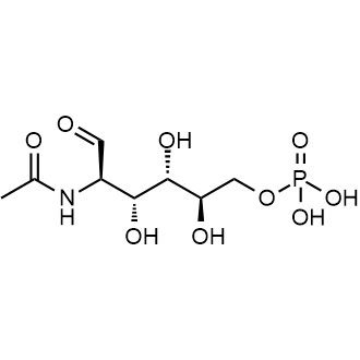 N-Acetylglucosamine 6-phosphate|CS-0999985