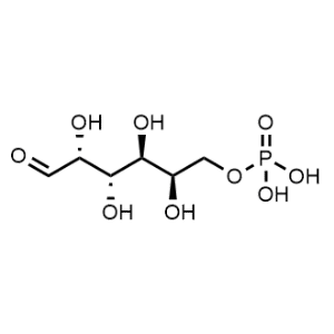Galactose 6-phosphate|CS-1000016