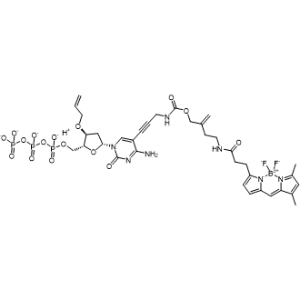 Borate(4-), [2'-deoxy-5-[3-[[[4-[[3-[5-[(3,5-dimethyl-2H-pyrrol-2-ylidene-κN)methyl]-1H-pyrrol-2-yl-κN]-1-oxopropyl]amino]-2-methylenebutoxy]carbonyl]amino]-1-propyn-1-yl]-3'-O-2-propen-1-ylcytidine 5'-(triphosphato)(5-)]difluoro-, hydrogen (1:4), (T-4)-|CS-1000041