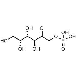 D-Tagatose, 1-(dihydrogen phosphate)|CS-1000066