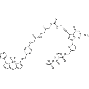 Borate(4-), difluoro[2-methylene-4-[[2-[4-[2-[5-[[5-(2-thienyl)-2H-pyrrol-2-ylidene-κN]methyl]-1H-pyrrol-2-yl-κN]ethenyl]phenoxy]acetyl]amino]butyl N-[3-[2-amino-4,7-dihydro-4-oxo-7-[(2R,5S)-tetrahydro-5-(3,5,7,7-tetrahydroxy-3,5,7-trioxido-2,4,6-trioxa-3,5,7-triphosphahept-1-yl)-2-furanyl]-3H-pyrrolo[2,3-d]pyrimidin-5-yl]-2-propyn-1-yl]carbamato(5-)]-, hydrogen (1:4), (T-4)-|CS-1000091