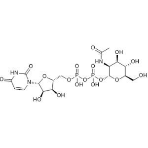 UDP-N-Acetylmannosamine|CS-1000107