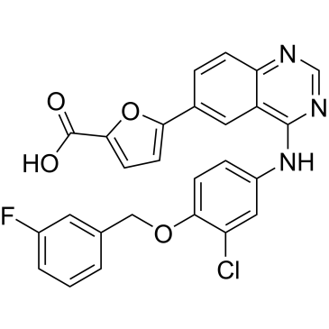 Lapatinib Impurity 21|CS-1000523
