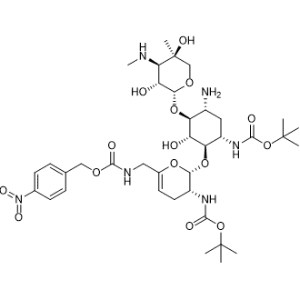 Sisomicin Impurity 4|CS-1000531