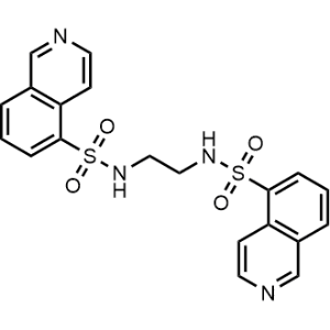 N,N'-1,2-Ethanediylbis[5-isoquinolinesulfonamide]|CS-1002643