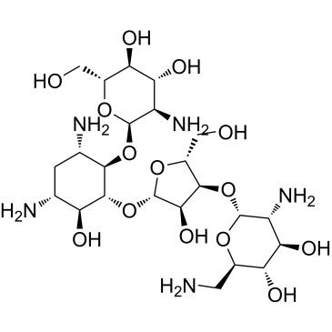 Neomycin F|CS-1004081