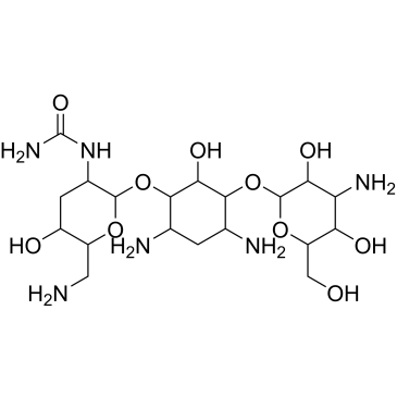 Tobramycin Impurity 12|CS-1004437