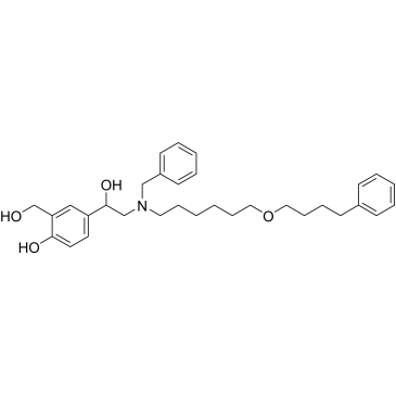 Salmeterol Impurity 8|CS-1005355
