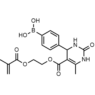 (4-(5-((2-(Methacryloyloxy)ethoxy)carbonyl)-6-methyl-2-oxo-1,2,3,4-tetrahydropyrimidin-4-yl)phenyl)boronic acid|CS-1005753