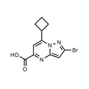 2-bromo-7-cyclobutylpyrazolo[1,5-a]pyrimidine-5-carboxylic acid|CS-1006283