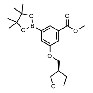 methyl (S)-3-((tetrahydrofuran-3-yl)methoxy)-5-(4,4,5,5-tetramethyl-1,3,2-dioxaborolan-2-yl)benzoate|CS-1006816