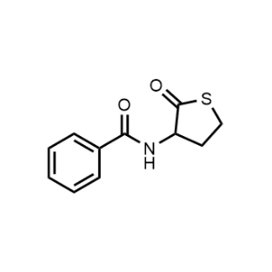 N-(2-oxotetrahydrothiophen-3-yl)benzamide|CS-1006897