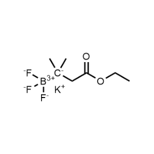 potassium (4-ethoxy-2-methyl-4-oxobutan-2-yl)trifluoroborate|CS-1006920