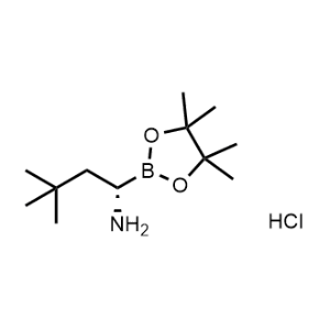 (S)-3,3-Dimethyl-1-(4,4,5,5-tetramethyl-1,3,2-dioxaborolan-2-yl)butan-1-amine hydrochloride|CS-1012211