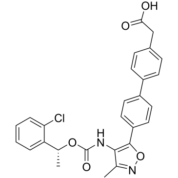 CS-1013