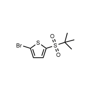 2-Bromo-5-(tert-butylsulfonyl)thiophene|CS-1013169