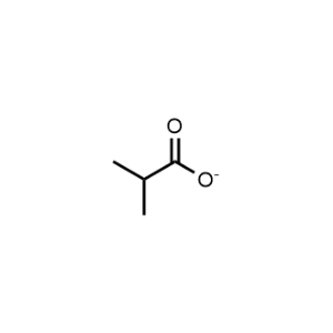 Isobutyrate|CS-1014084