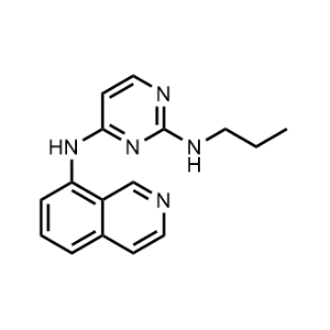 N4-(Isoquinolin-8-yl)-N2-propylpyrimidine-2,4-diamine|CS-1014526